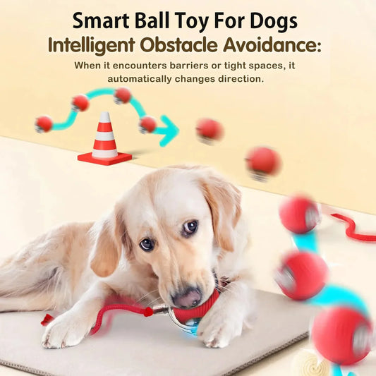 The Pet Ball That Moves On Its Own — No Fetch Required