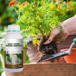 Plant Rooting & Seedling Strengthening Agent（50% OFF）