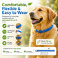 🌿 Skip the Chemicals! ✨ Natural Essential Oil Flea Collar – Repels Bugs, Not Safe for Pup. 🐶