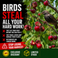 Bird Repellent Tape