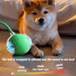 The Pet Ball That Moves On Its Own — No Fetch Required