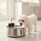 Health & Happiness Dog Kit