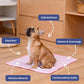 🐶🐱🐾 Cooling Pet Pad Multi‑Size – Breathable, Washable, Non‑Slip – Dog Bed, Sofa Cover, Car Seat Mat – Supports up to 80kg – 3 Colours Available