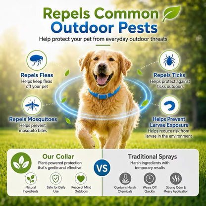 🌿 Skip the Chemicals! ✨ Natural Essential Oil Flea Collar – Repels Bugs, Not Safe for Pup. 🐶