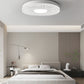 💡LED Crystal Mounted Ceiling Light