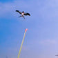 🎉 2026 Sale — Over 22300 Sold!💞 Handheld Fishing Rod Kite Toy – Fun 🪁
