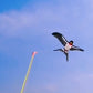 🎉 2026 Sale — Over 22300 Sold!💞 Handheld Fishing Rod Kite Toy – Fun 🪁