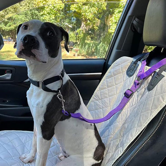 🏆 Last Day Special Price ＄9.99! 🔥Buy more save more🎁2-in-1 Dog Car Seat Belt & Walking Leash