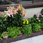 🌱 DIY Raised Garden Bed Planter – Build Your Perfect Growing Space💧