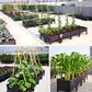 🌱 DIY Raised Garden Bed Planter – Build Your Perfect Growing Space💧