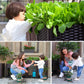 🌱 DIY Raised Garden Bed Planter – Build Your Perfect Growing Space💧