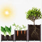 🌱 DIY Raised Garden Bed Planter – Build Your Perfect Growing Space💧