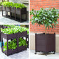 🌱 DIY Raised Garden Bed Planter – Build Your Perfect Growing Space💧