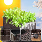 🌱 DIY Raised Garden Bed Planter – Build Your Perfect Growing Space💧