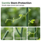 🌱 Plant Support Stake – Help Your Vines Grow Beautifully ✨