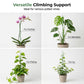 🌱 Plant Support Stake – Help Your Vines Grow Beautifully ✨