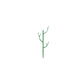 🌱 Plant Support Stake – Help Your Vines Grow Beautifully ✨