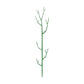 🌱 Plant Support Stake – Help Your Vines Grow Beautifully ✨