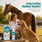 🐾 Pet Flea & Tick Repellent Spray – Natural Protection For Dogs, Cats & More 🌿