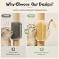 🐱 2-in-1 Cat Self Grooming Brush – Interactive Feather Toy