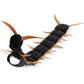 🐛 Centipede Pet Costume – Realistic 3D Halloween Look