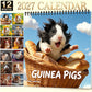 🐹 2027 Guinea Pig Calendar – Cute Photos & Cheerful Wall Decor