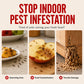 🎃 Pumpkin Pest Trap – Discreet Indoor Ant & Fly Control