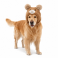 🐶 Plush Dog Winter Hat – Warm Ribbed Knit Hood with Double Pom-Poms