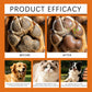 🐾 Pet Paw & Nose Moisturizing Lotion – Easy Roll-On Hydrating Care