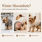 🐻 British Heritage Pet Sweater – Cozy Knit Pullover for Dogs & Cats